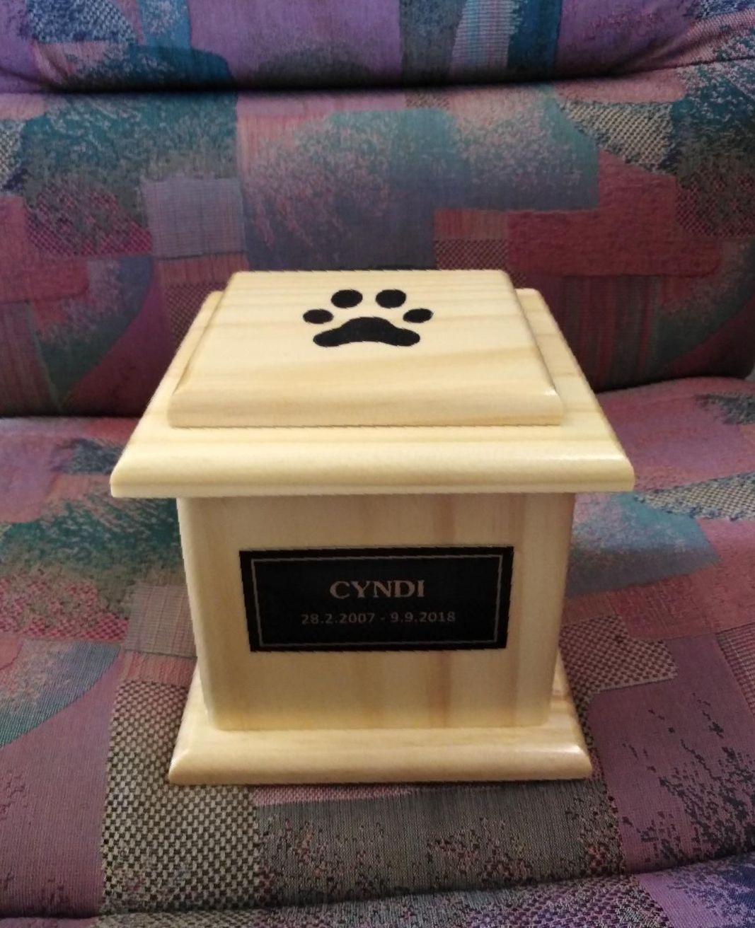A Small Wooden Urn With A Paw Print On It Is Sitting On A Couch — Angels for Pets In Tanby, QLD