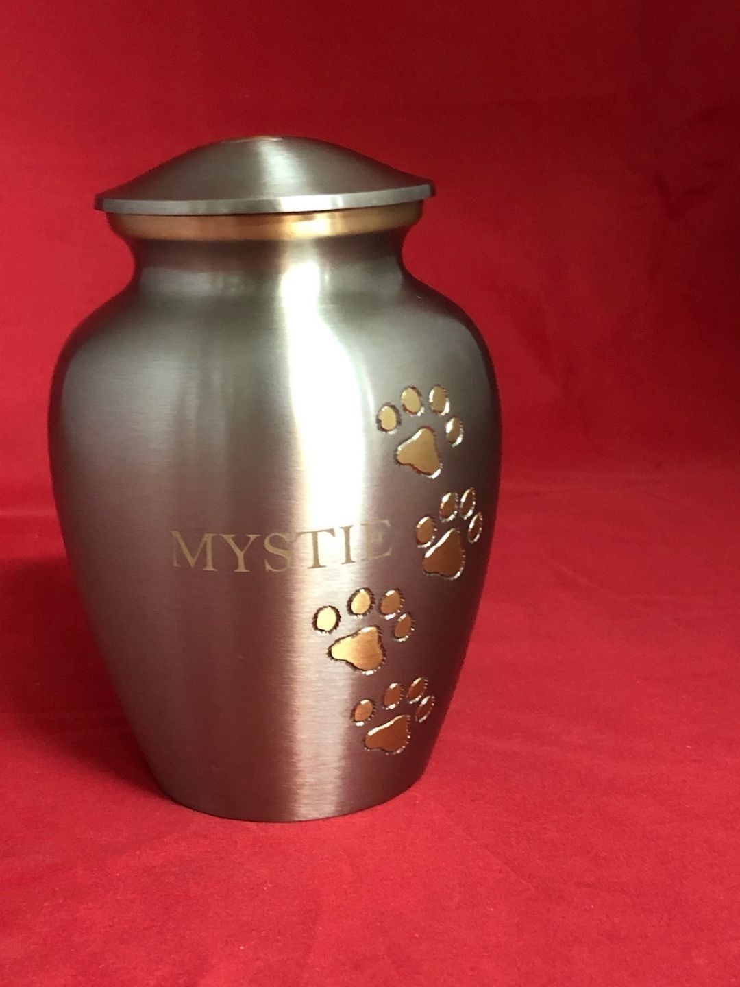 A Silver Urn With The Name Mystic On It — Angels for Pets In Tanby, QLD