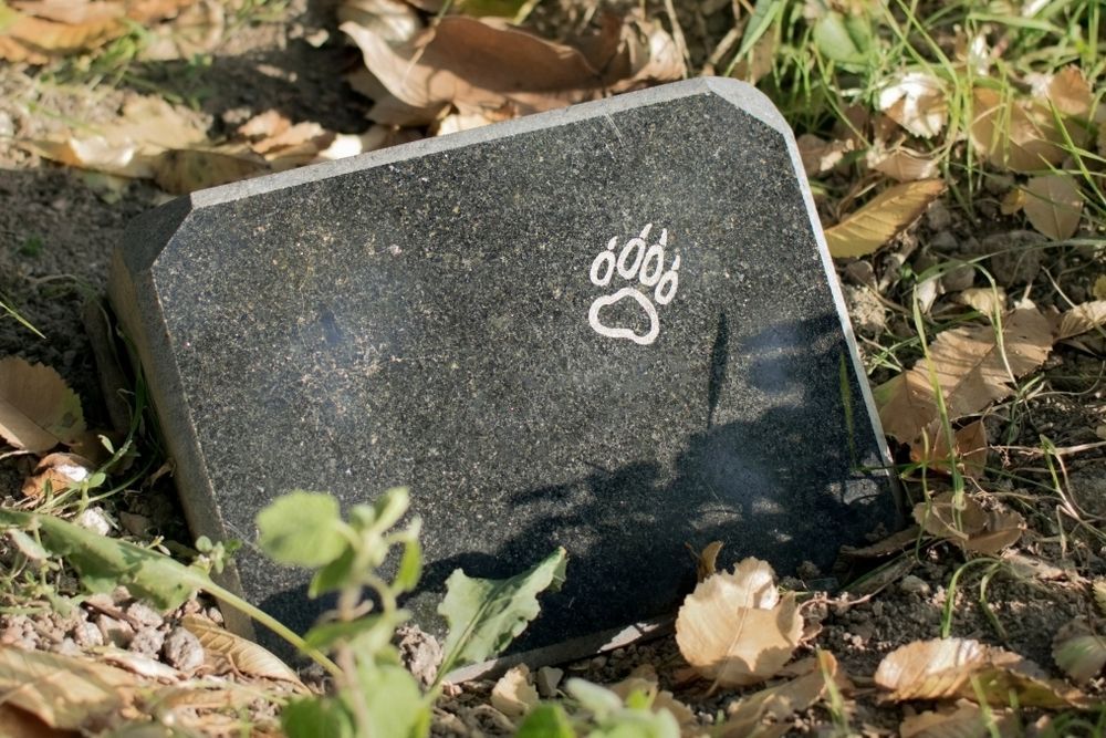 A Black Stone Plaque With A Paw Print On It Is Sitting On The Ground — Angels for Pets In Emerald, QLD