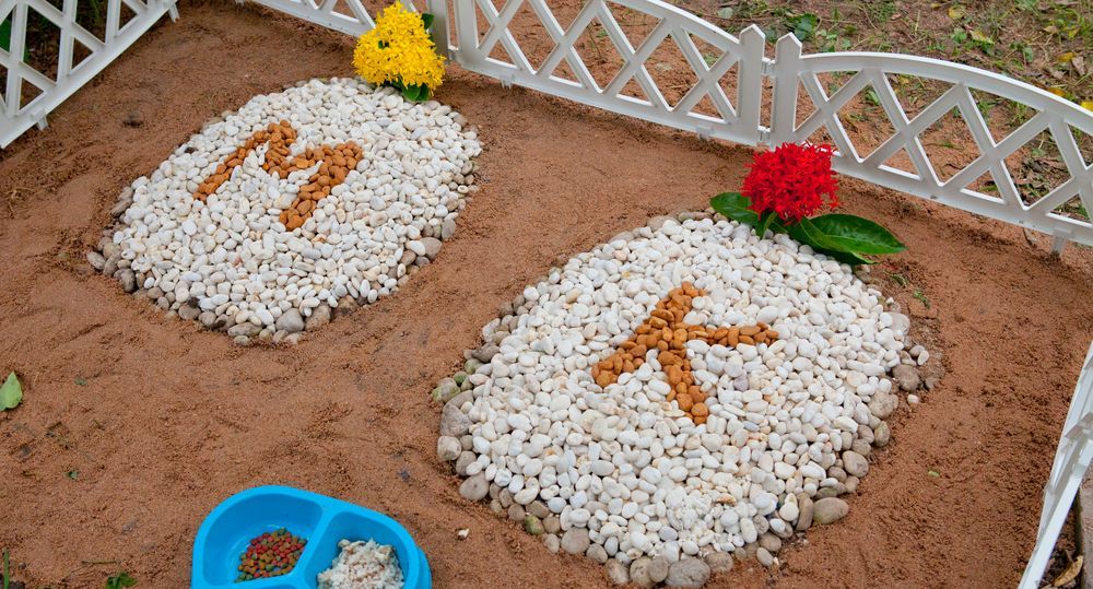 A Grave For A Dog Is Decorated With Rocks And Flowers — Angels for Pets In Emerald, QLD