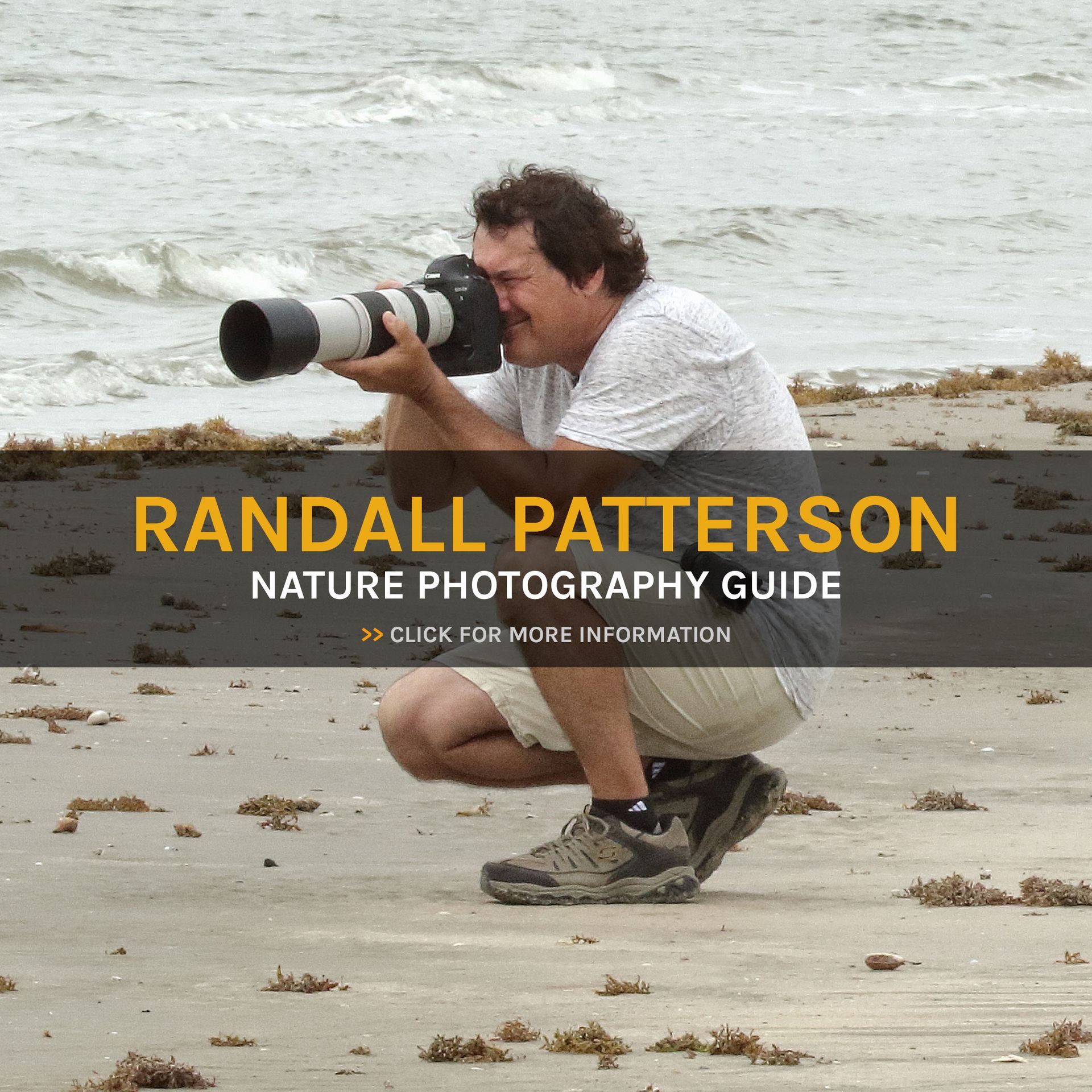 Randall patterson is a wildlife photographer taking a picture of purple flowers
