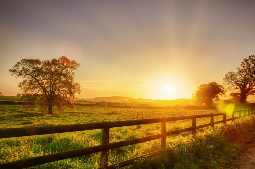Sunset Over a Green Field With a Wooden Fence and Trees — Keith Dellit Rural Fencing in Yandina Creek, QLD