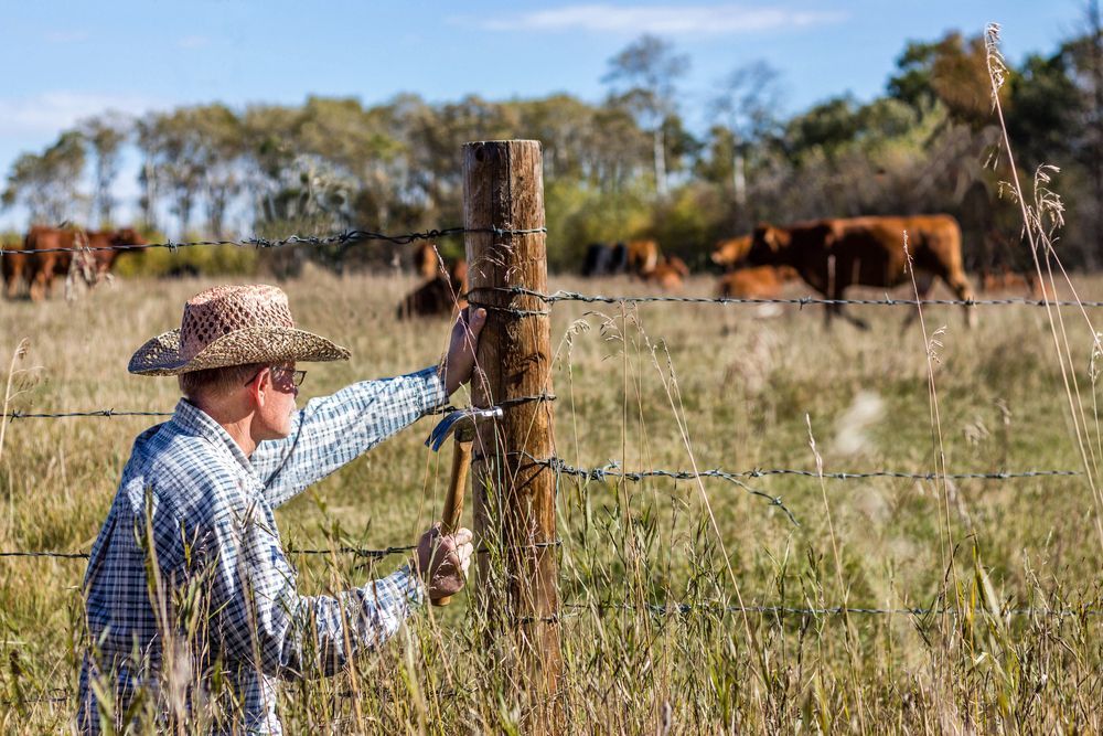 a Person in a Cowboy Hat Repairs a Barbed Wire Fence in a Grassy Field — Keith Dellit Rural Fencing in Yandina Creek, QLD