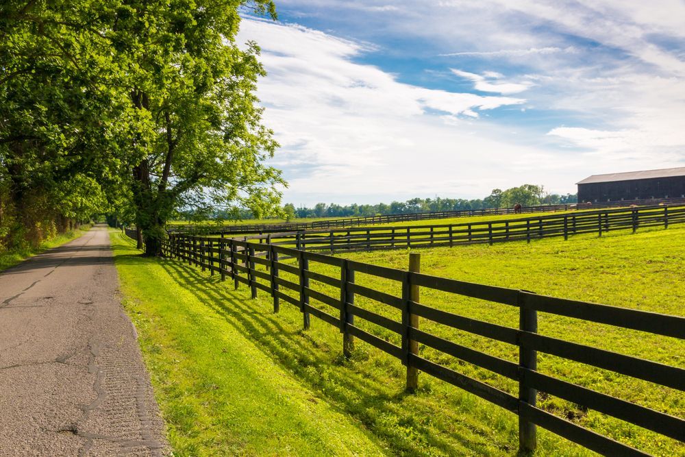 A Wooden Fence Leading Through a Green Field Towards a Barn — Keith Dellit Rural Fencing in Yandina Creek, QLD