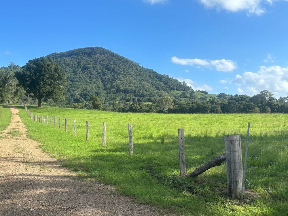 Dirt Path Through a Green Field With a Wooden Fence — Keith Dellit Rural Fencing in Yandina Creek, QLD 