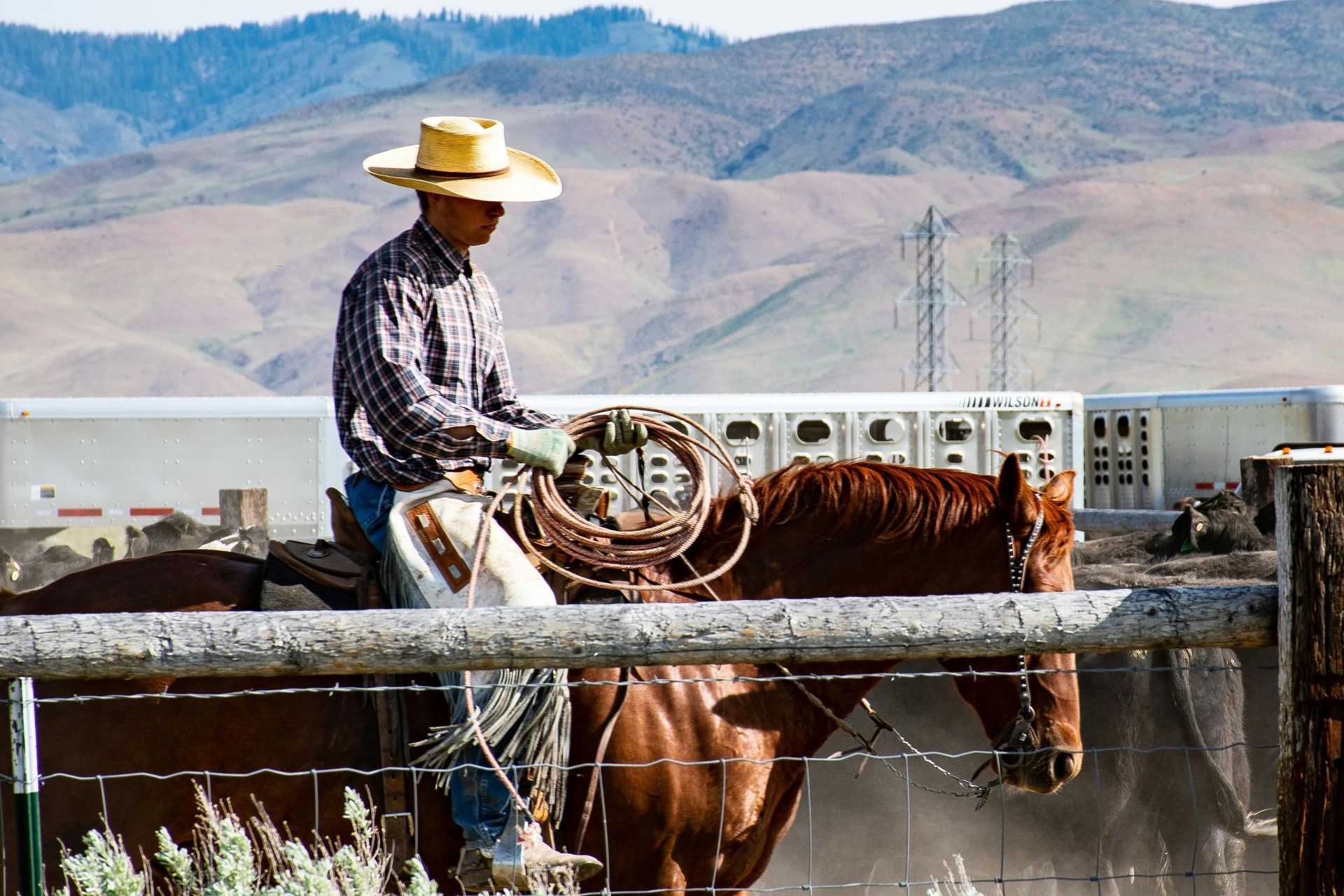 Green Fence Topped With Razor Wire; Road Winds Through Hilly Landscape — Keith Dellit Rural Fencing in Yandina Creek, QLD