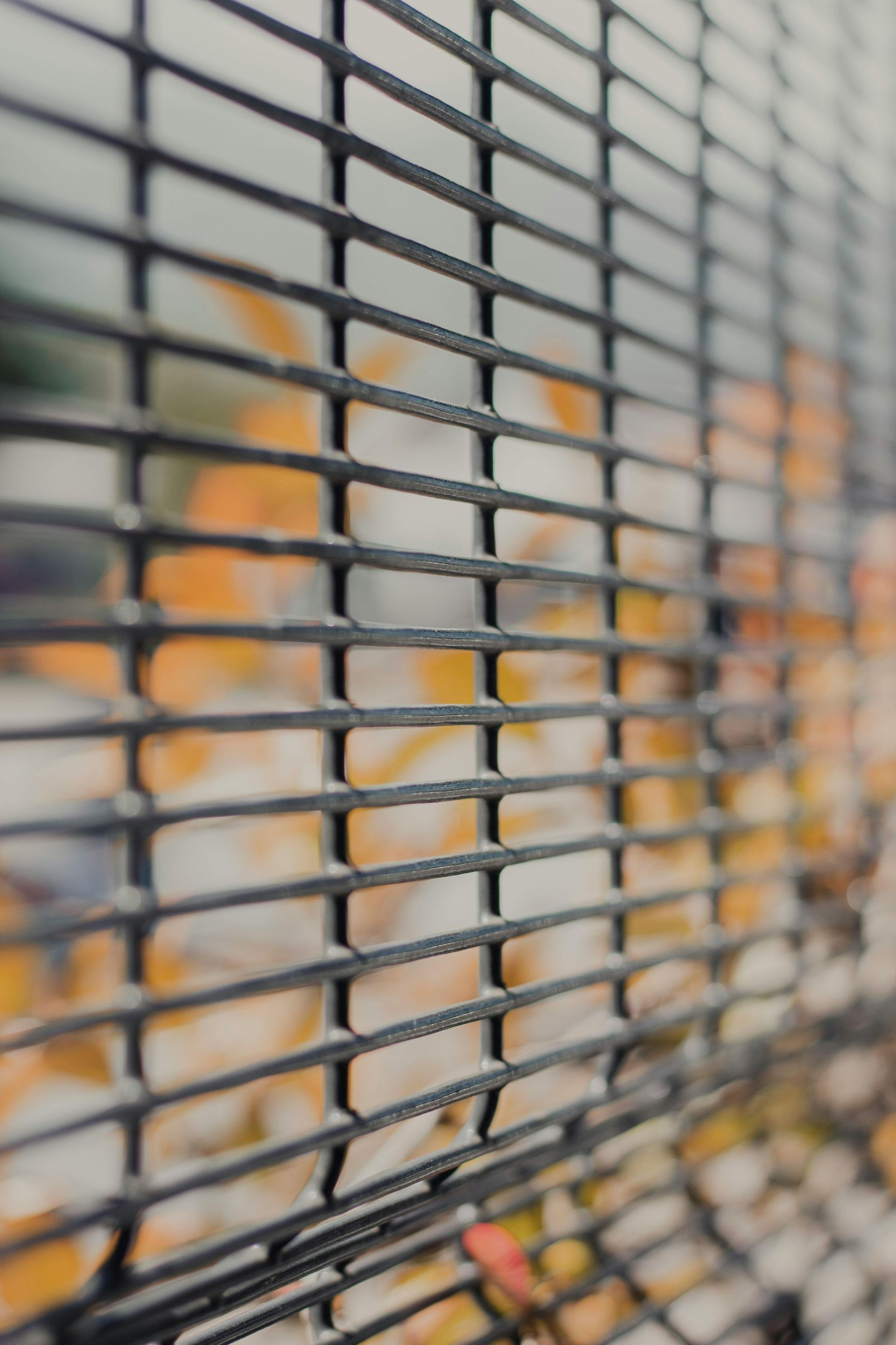 Black metal fence with blurred orange foliage in the background.