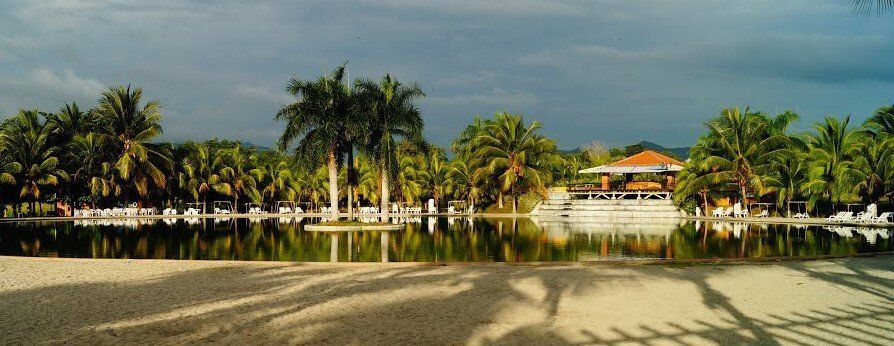 Un gran cuerpo de agua rodeado de palmeras y una playa.