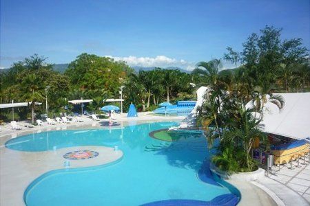 Una gran piscina rodeada de palmeras en un día soleado