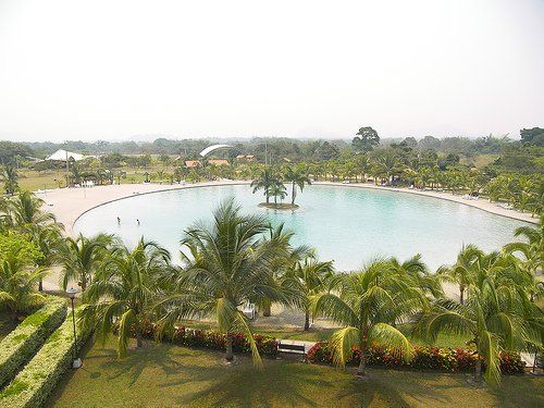 Una vista aérea de una gran masa de agua rodeada de palmeras.