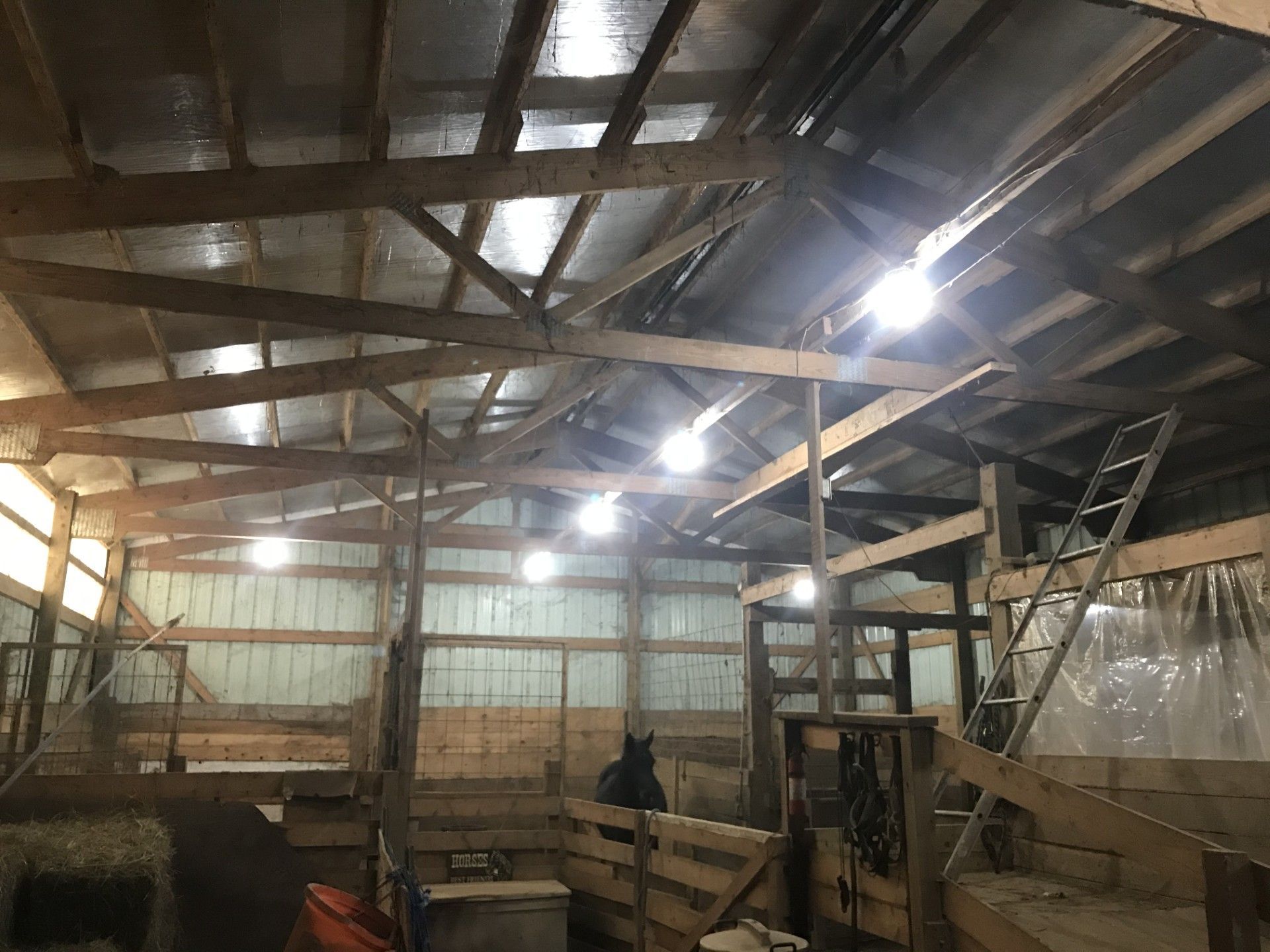 Interior of a wooden barn with overhead lights, a horse, and stalls.