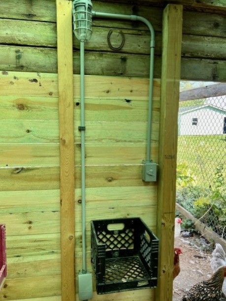 Electrical conduit with light fixture and outlet on wooden structure near chicken coop.