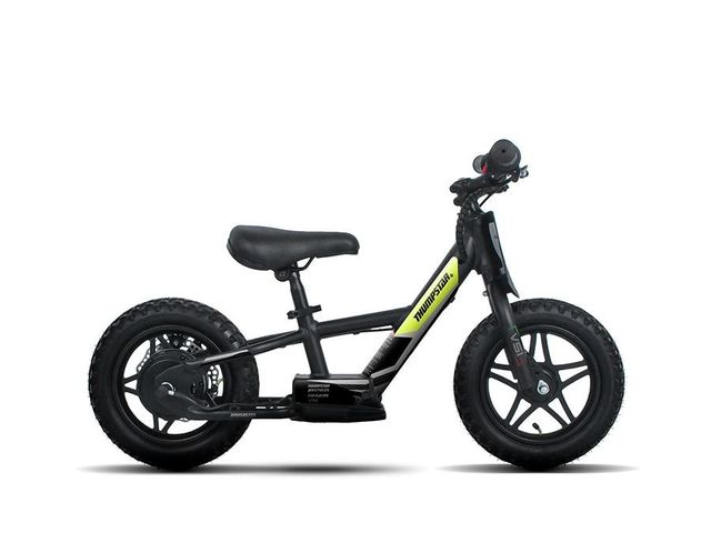 Thumpstar TSE12H-E3