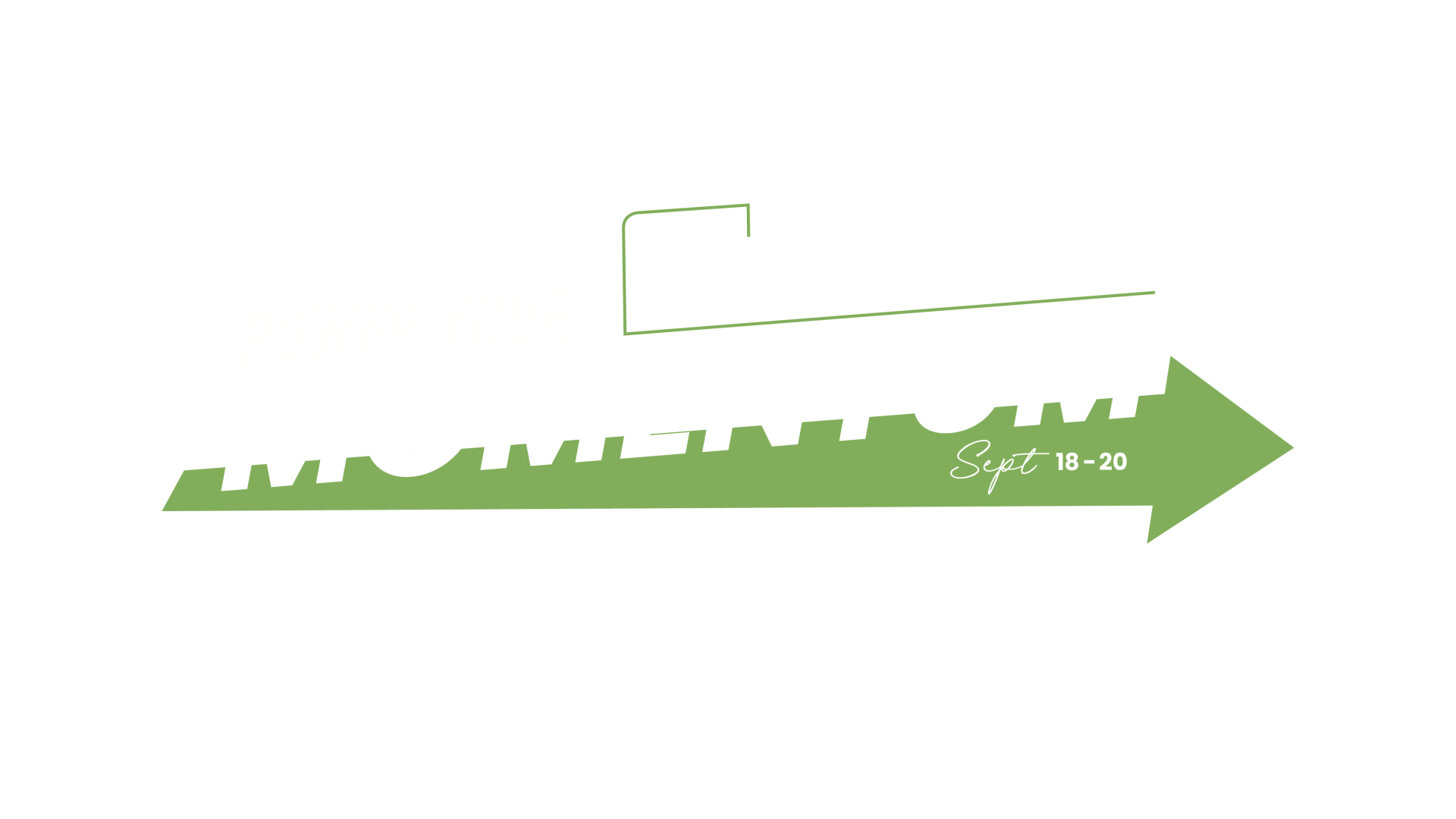 momentum