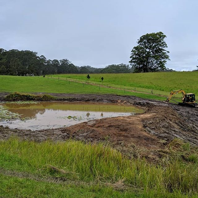 Yellow Excavator Beside Ricefield — Earthmoving Services in Eungai Creek, NSW