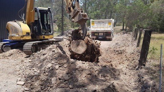 Excavator Removing Tree Stump — Earthmoving Services  in Eungai Creek, NSW