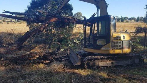 Excavator Removing Trees — Earthmoving Services  in Eungai Creek, NSW