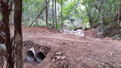 Land with Tree — Earthmoving Services  in Eungai Creek, NSW