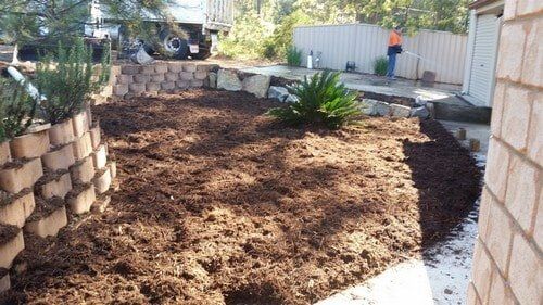 Muddy Soil with Plant — Earthmoving Services  in Eungai Creek, NSW