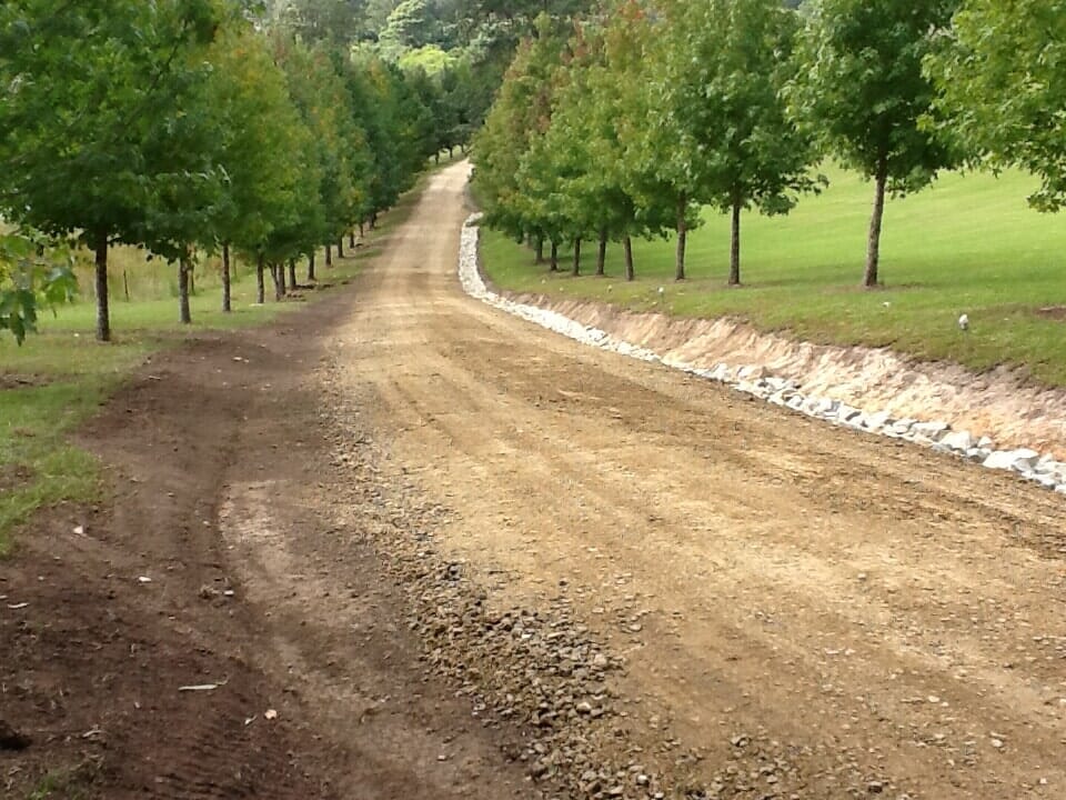 Road with Trees — Earthmoving Services  in Eungai Creek, NSW