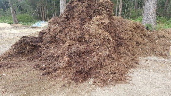 Soil — Earthmoving Services  in Eungai Creek, NSW