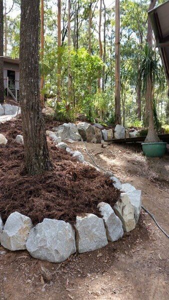 Tree — Earthmoving Services  in Eungai Creek, NSW