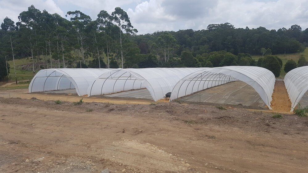 White Concave — Earthmoving Services  in Eungai Creek, NSW