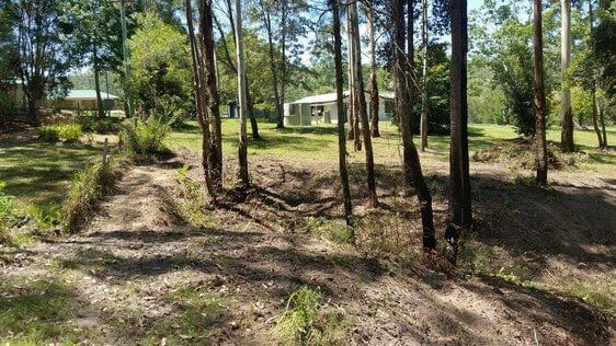 Woods — Earthmoving Services  in Eungai Creek, NSW