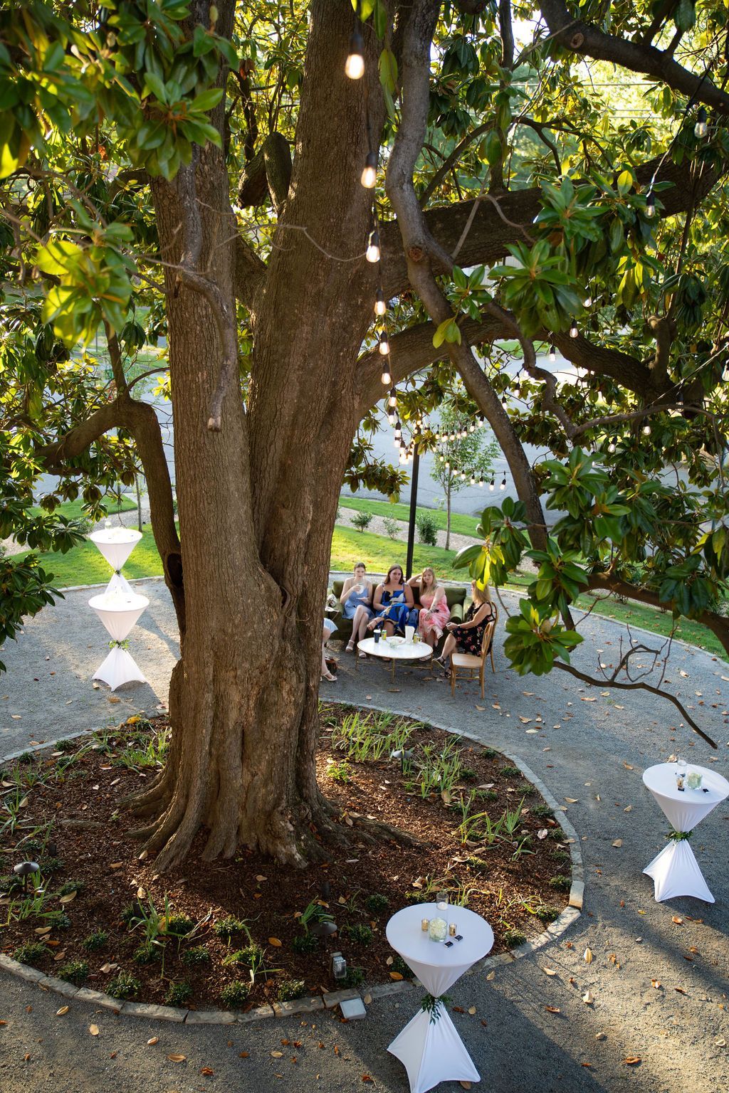 A group of people are sitting at tables under a magnolia in Argenta