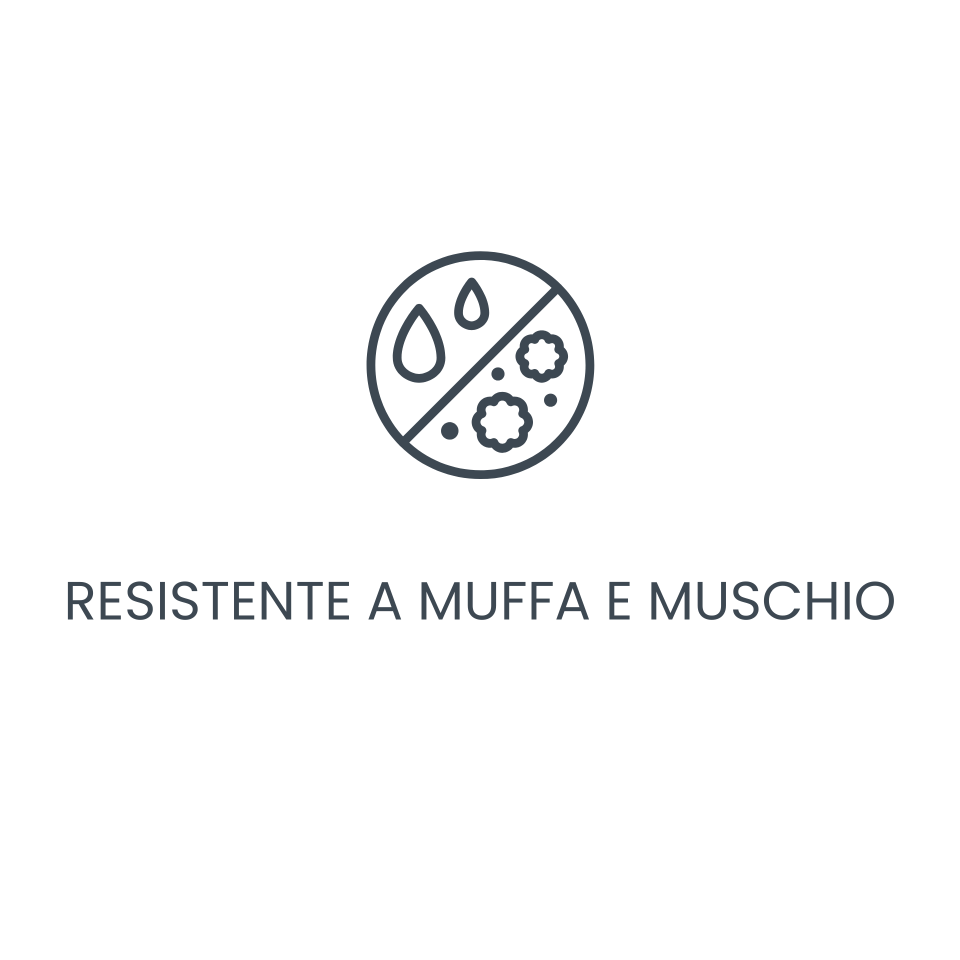 icona resistente a muffa e muschio - international pietre