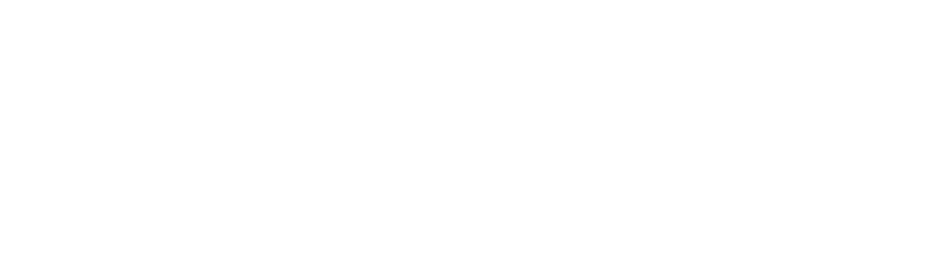 Fabi Tronolone, website, site, cursos, mentoria, consultoria, mercado de luxo, neuromarketing