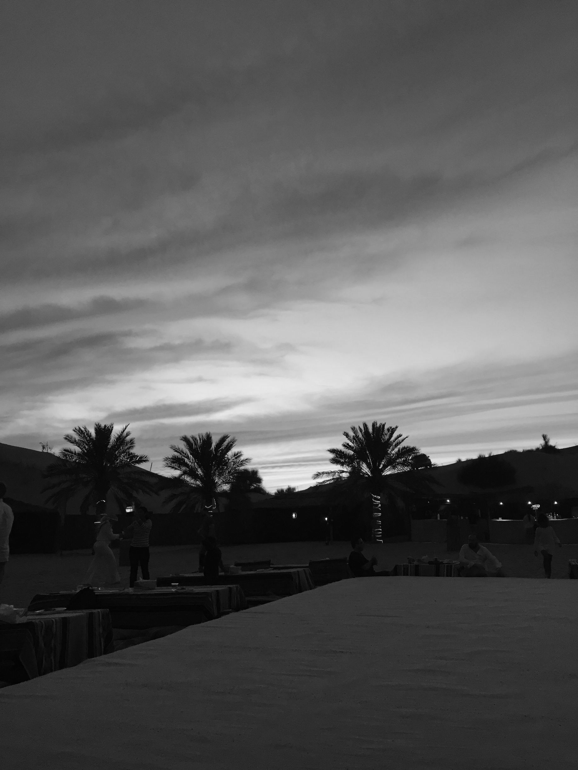 fabi tronolone, Jantar no deserto de dubai