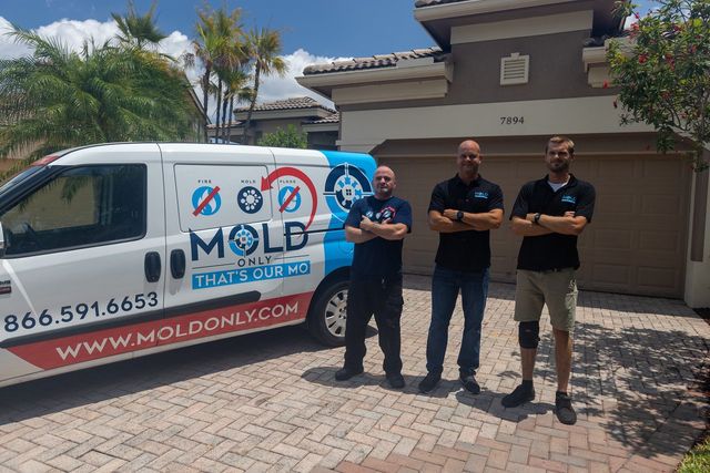 Top Rated Mold Remediation Service in Florida - Erica's 24/7 Restoration