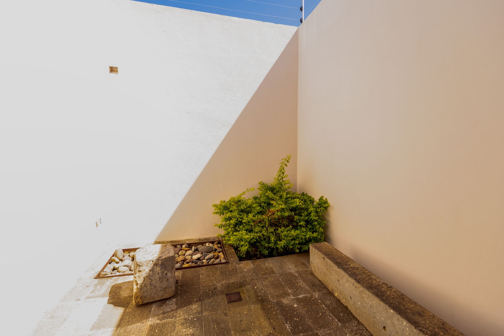 a corner of a building with a plant growing out of it .