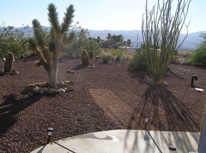 Rocks and Cactus Design — Bullhead City, AZ — Rim Country's Rock N Yard
