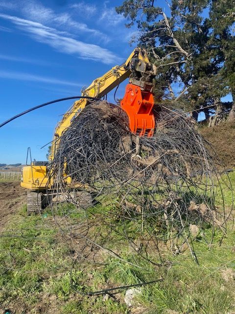 A yellow excavator is cutting down a tree in a field.