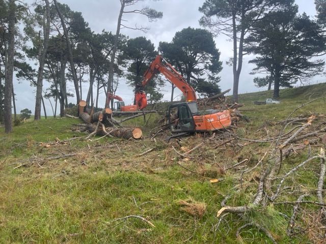 A large excavator is cutting down trees in a field.