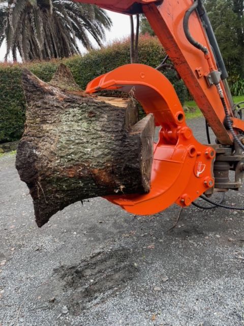 A large tree stump is being lifted by an orange excavator