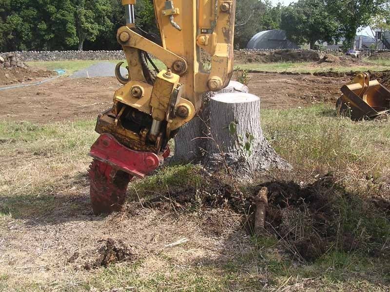 A yellow excavator is cutting a tree stump in a field.