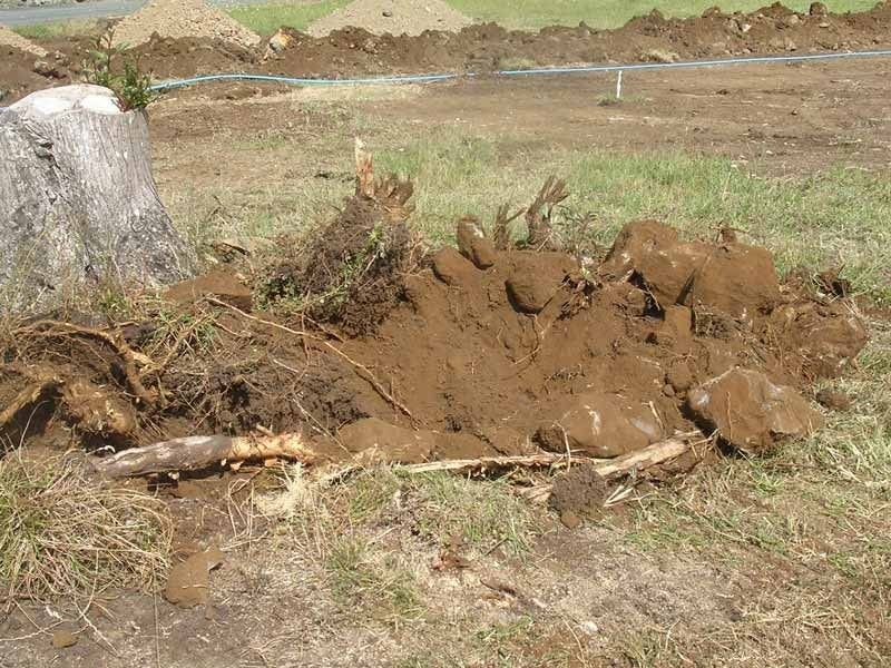 A pile of dirt is laying in the grass next to a rock.