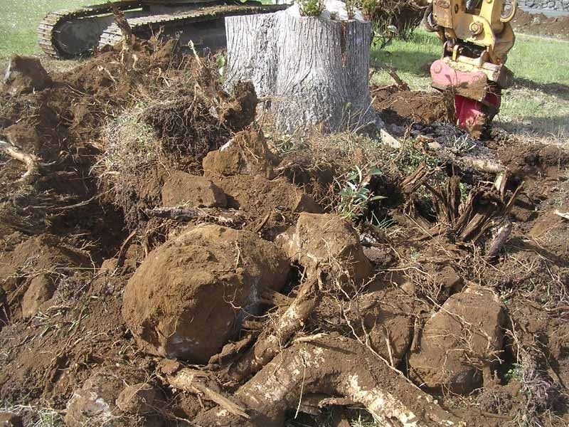 A pile of dirt and rocks with a tree stump in the background.