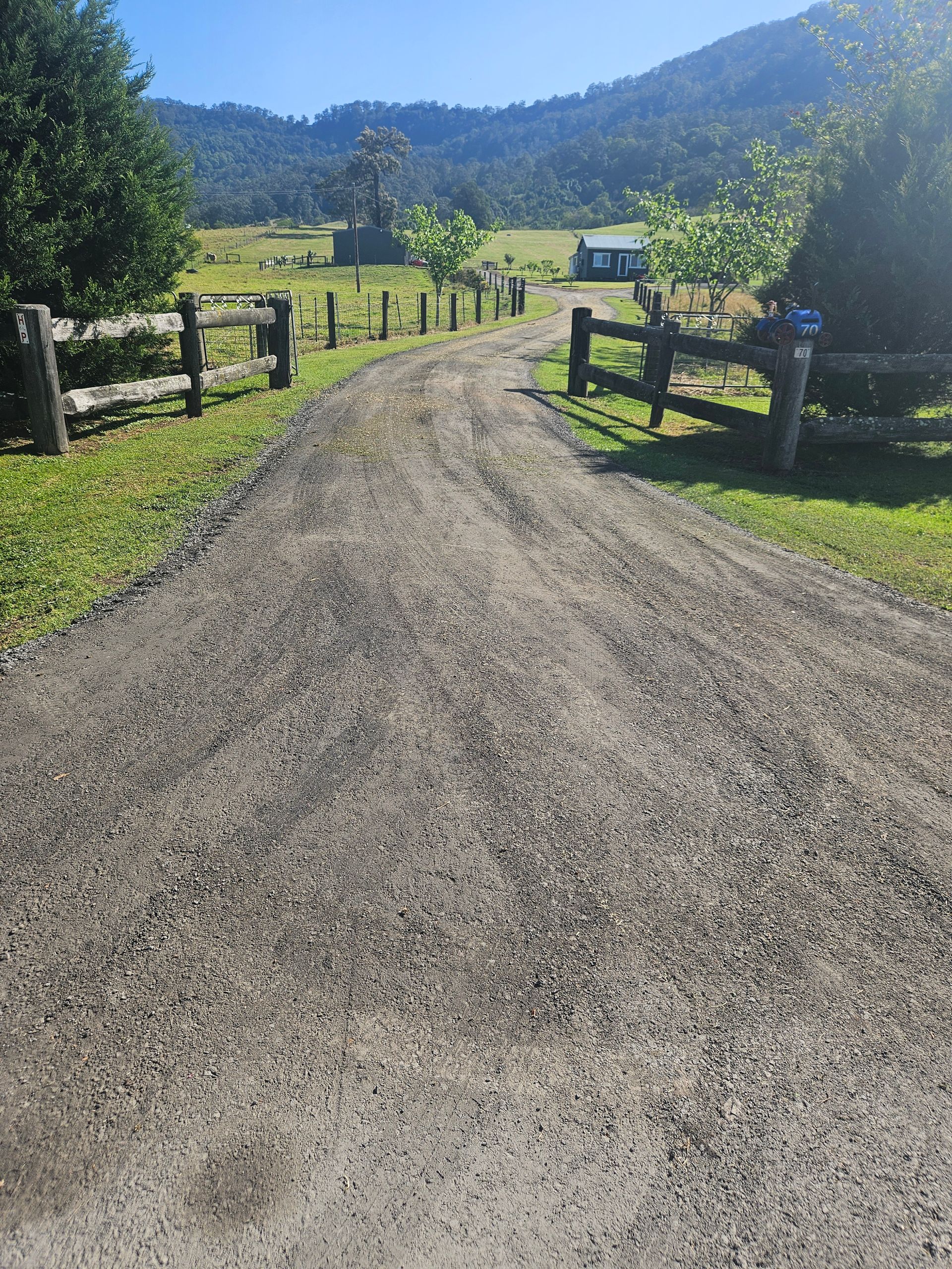 A dirt road in the middle of a forest with trees in the background.