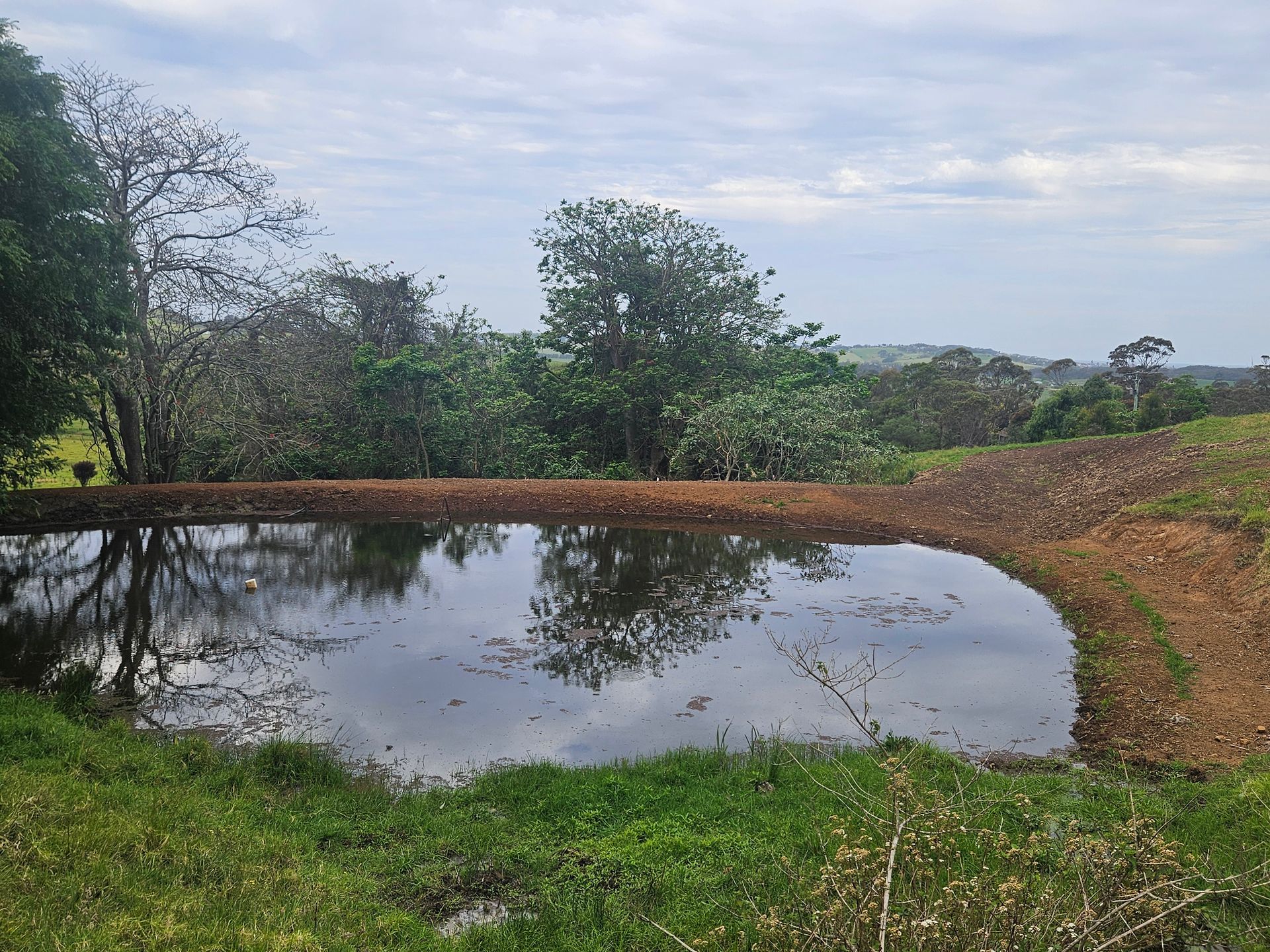 A large body of water is in the middle of a grassy field.