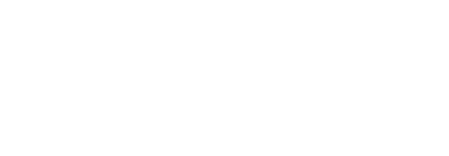 White Logo of Robin Cleaning Service