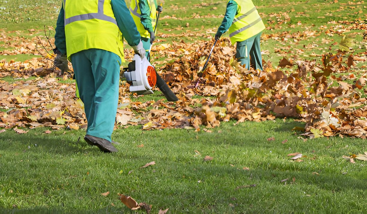 A group of people are blowing leaves in a park.