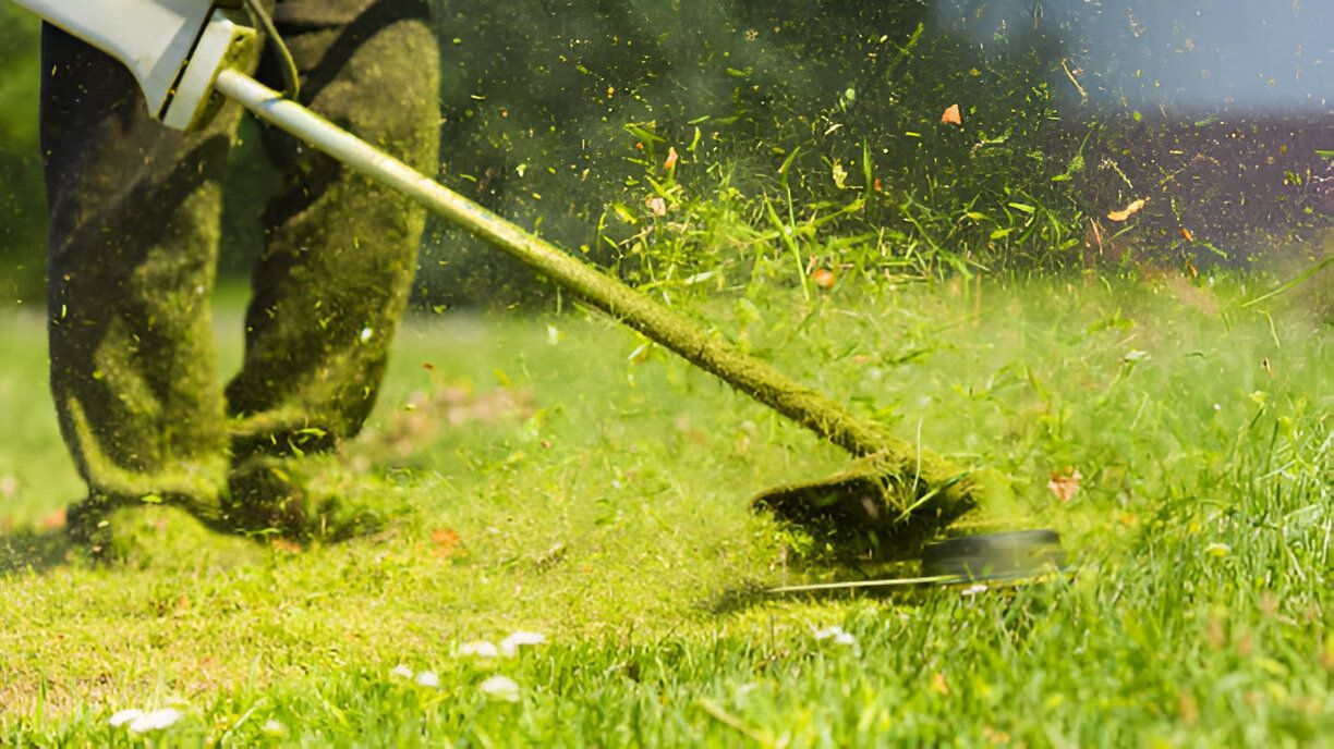 A person is using a lawn mower to cut grass in a field.