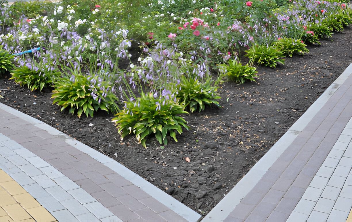 A corner of a garden with flowers and shrubs
