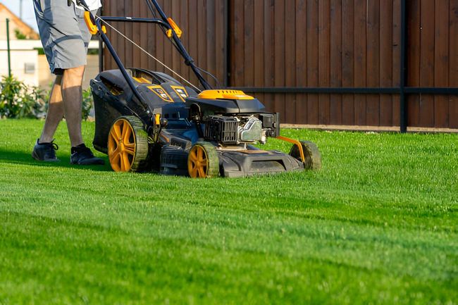 A man is mowing a lush green lawn with a lawn mower.