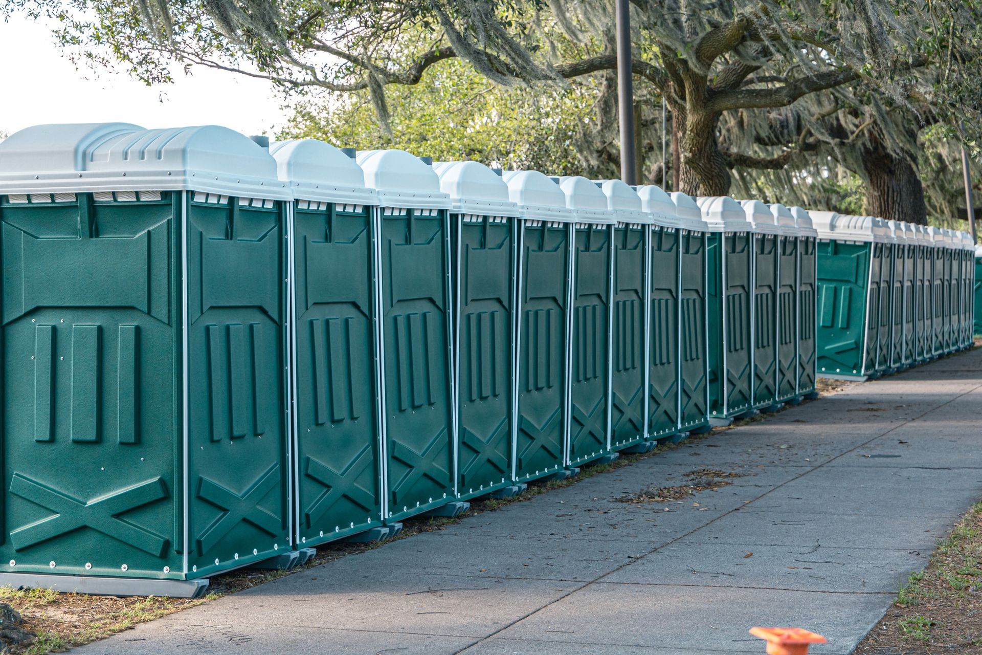 Row of green portable toilets lined along sidewalk under large trees at outdoor event.