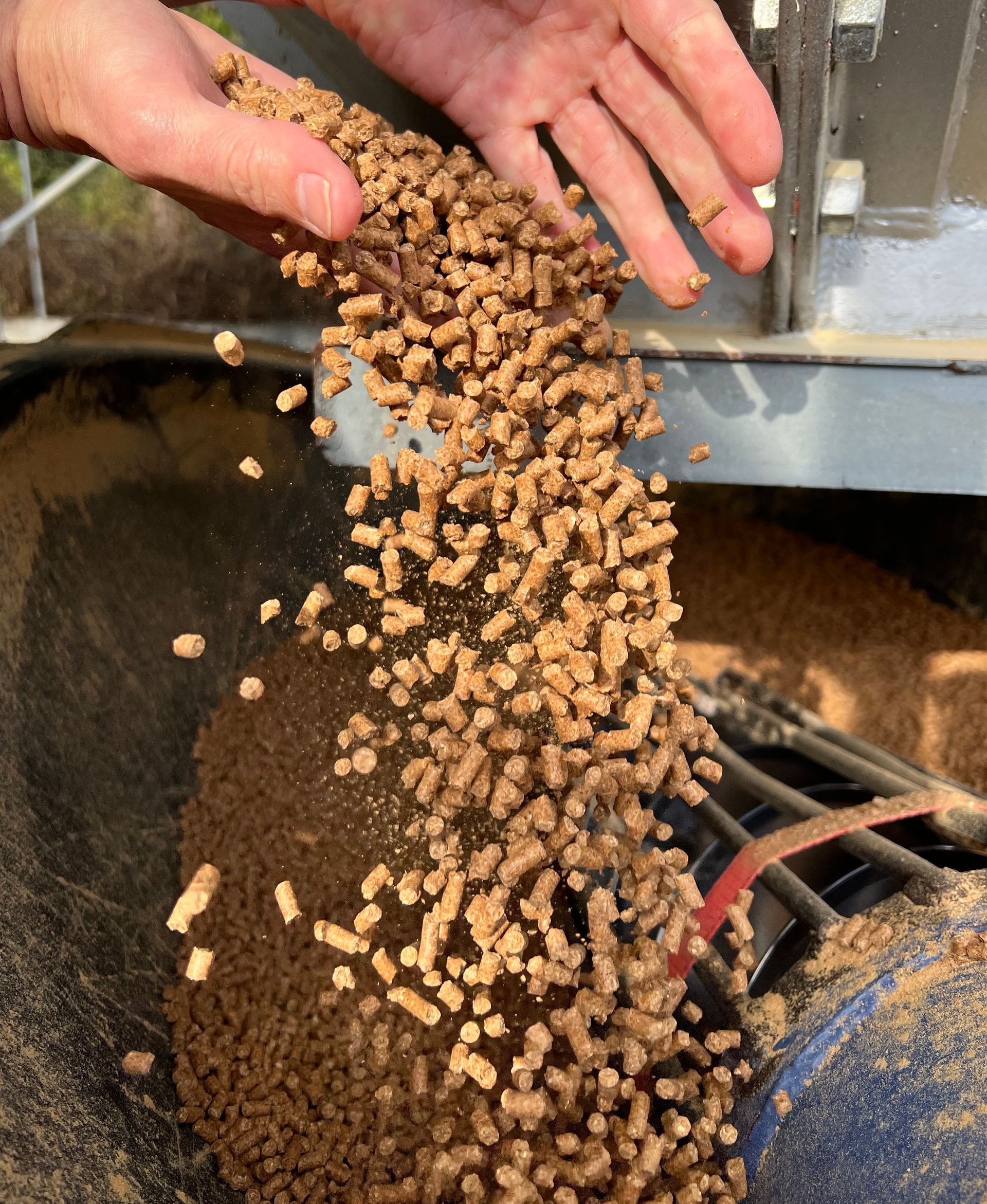 Hands Pouring Brown Animal Feed Pellets Into a Container — Prostoc In Kempsey, NSW